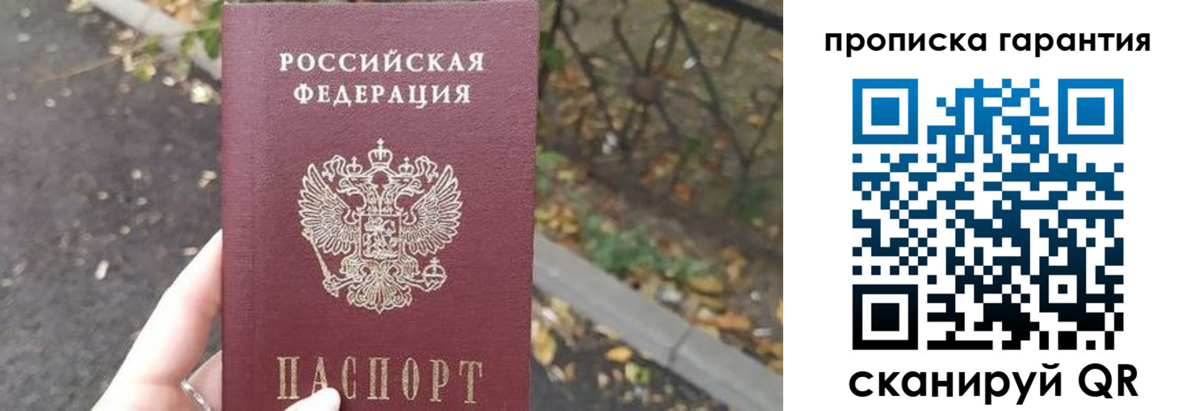 где прописаться в Лосино-Петровском